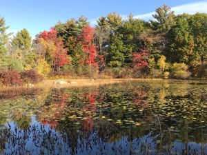 IMG-20171023-WA0004