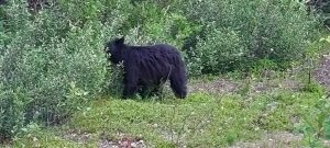 IMG-20230803-WA0159
