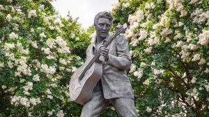 elvis